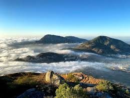 images (4)
